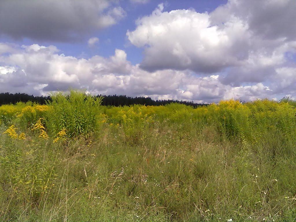 Великий Щимель з panoramio.com - Velykyy Schymel