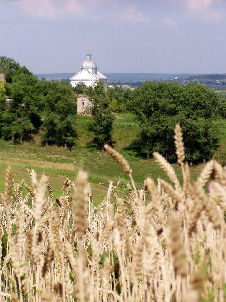 Сураж з panoramio.com - Сураж