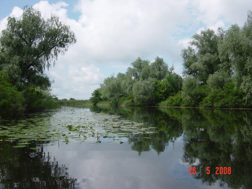 Солонці з panoramio.com - Солонцы