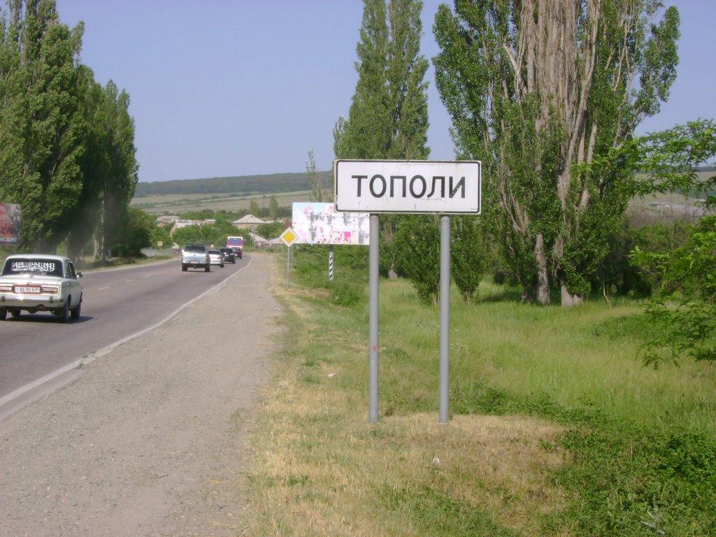 Тополі з panoramio.com - Тополи