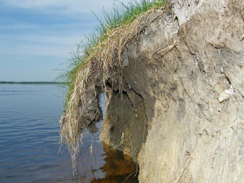 Миси з panoramio.com - Mysy