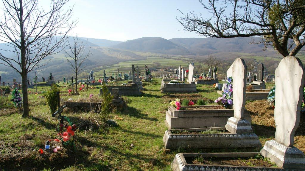 Тур'я Бистра з panoramio.com - Тур'я Бистра