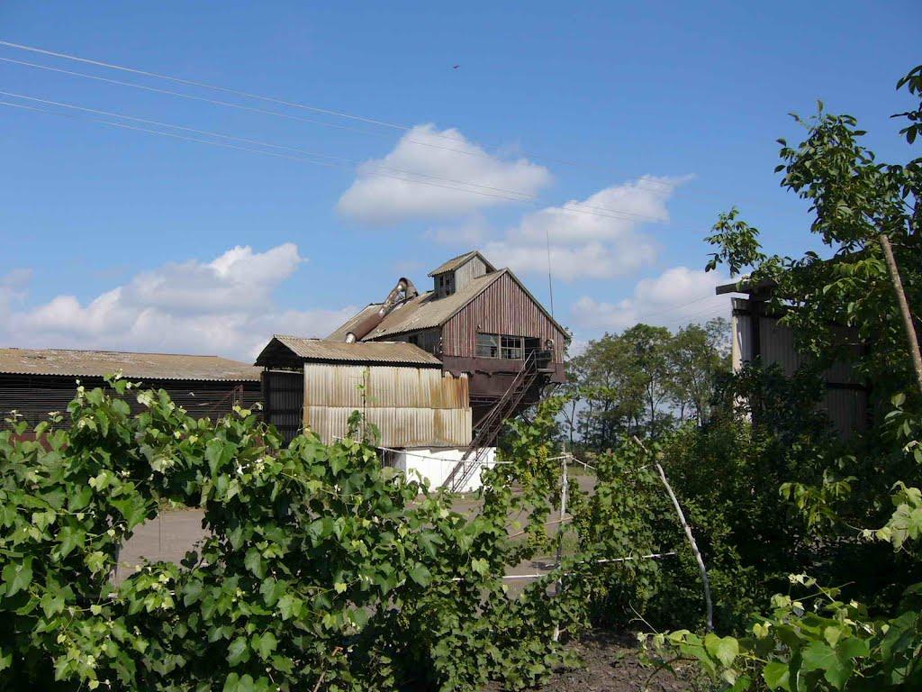 Свободне з panoramio.com - Свободное