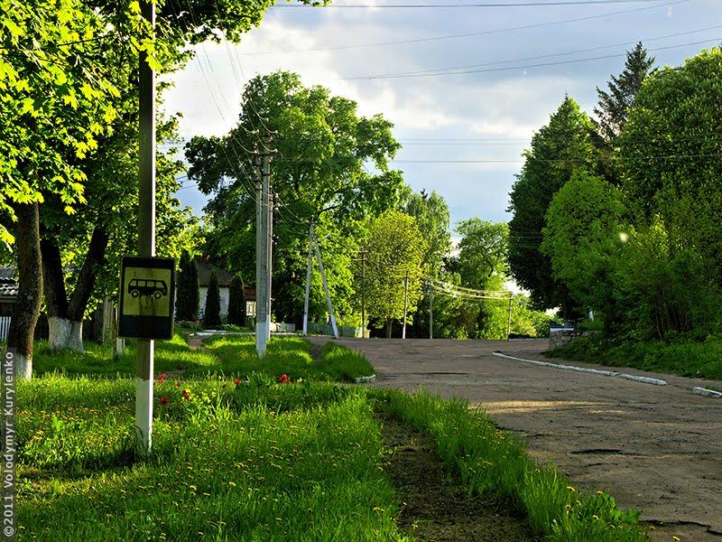 Дубовичі з panoramio.com - Дубовичі
