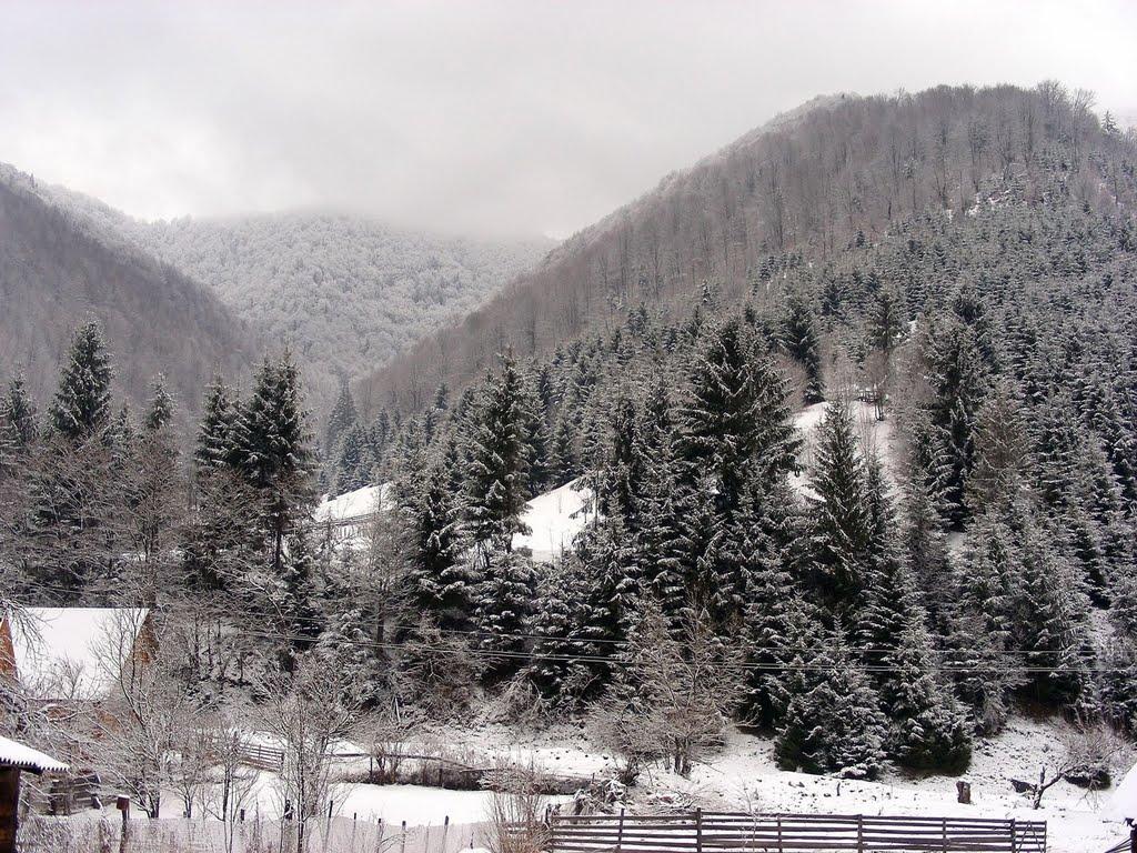 Руська Мокра з panoramio.com - Руська Мокра