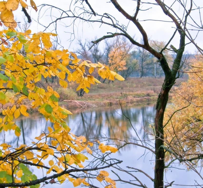 Слов'яносербськ з panoramio.com - Славяносербск