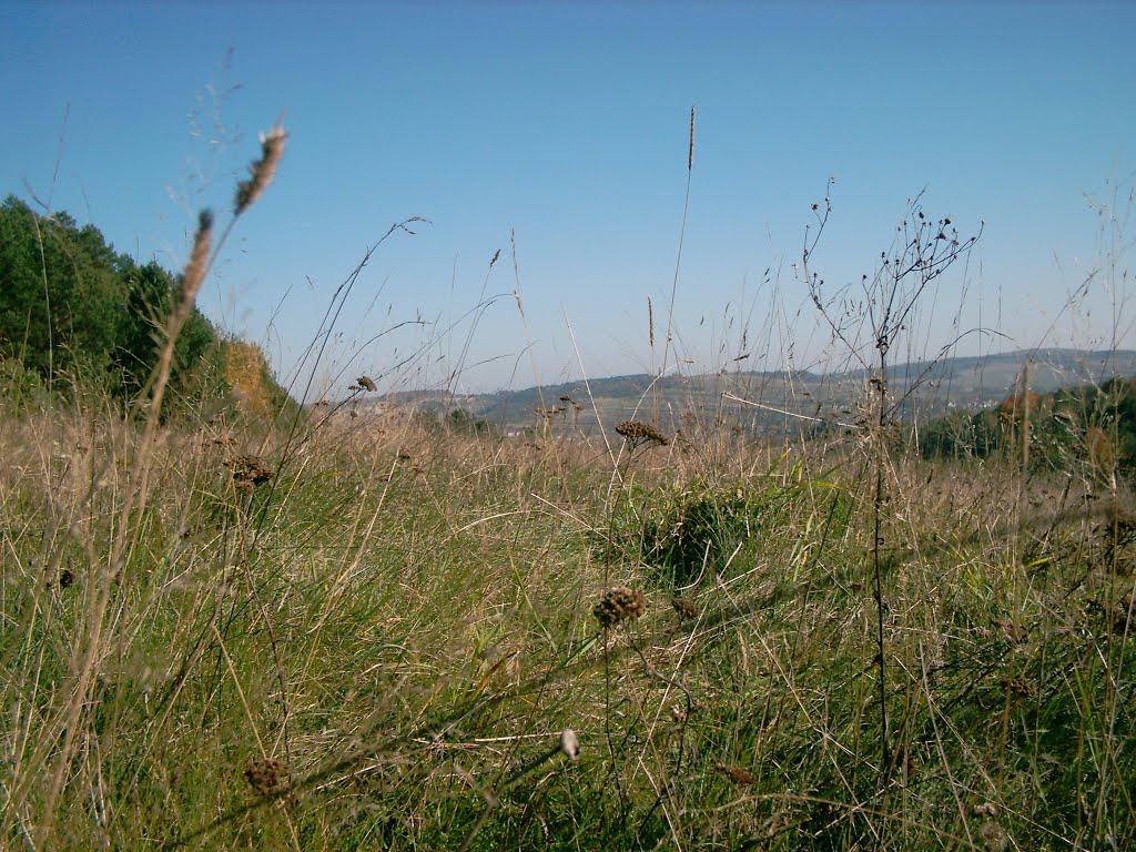 Глібовичі з panoramio.com - Глібовичі