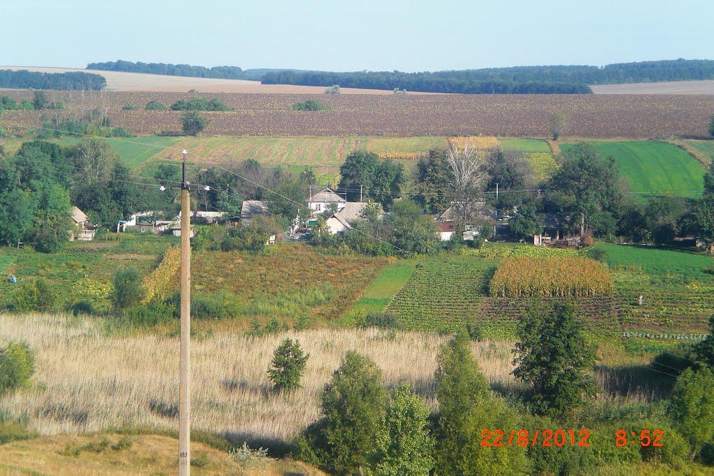 Лісове з panoramio.com - Lisove