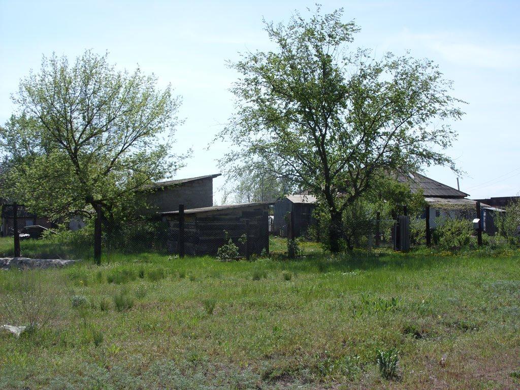 Станично-Луганське з panoramio.com (ч.2) - Станично-Луганское