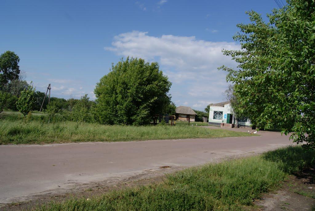 Смолянка з panoramio.com - Смолянка