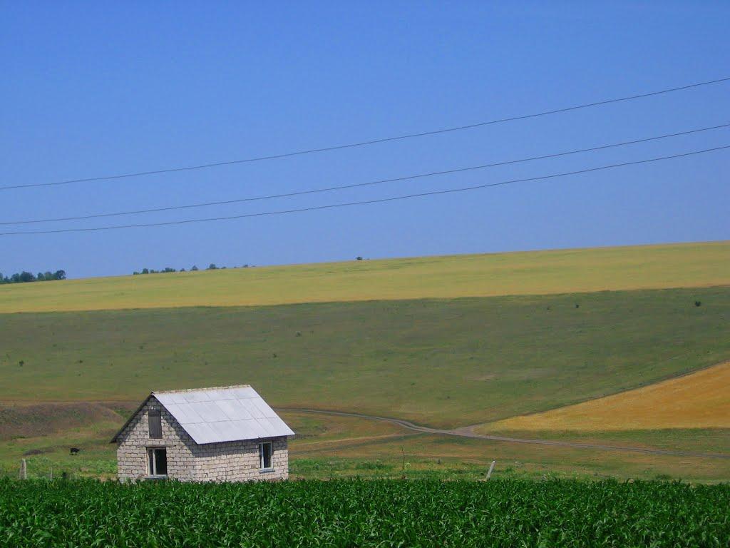 Новоолександрівка з panoramio.com - Новоолександрівка