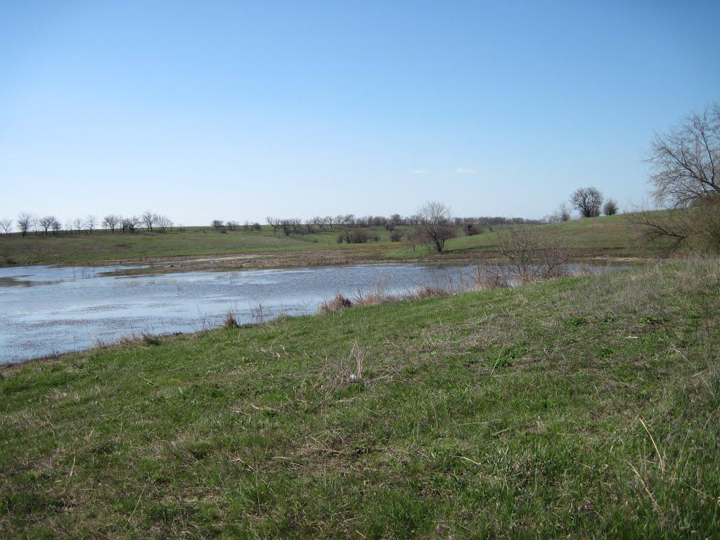 Переможне з panoramio.com - Переможное