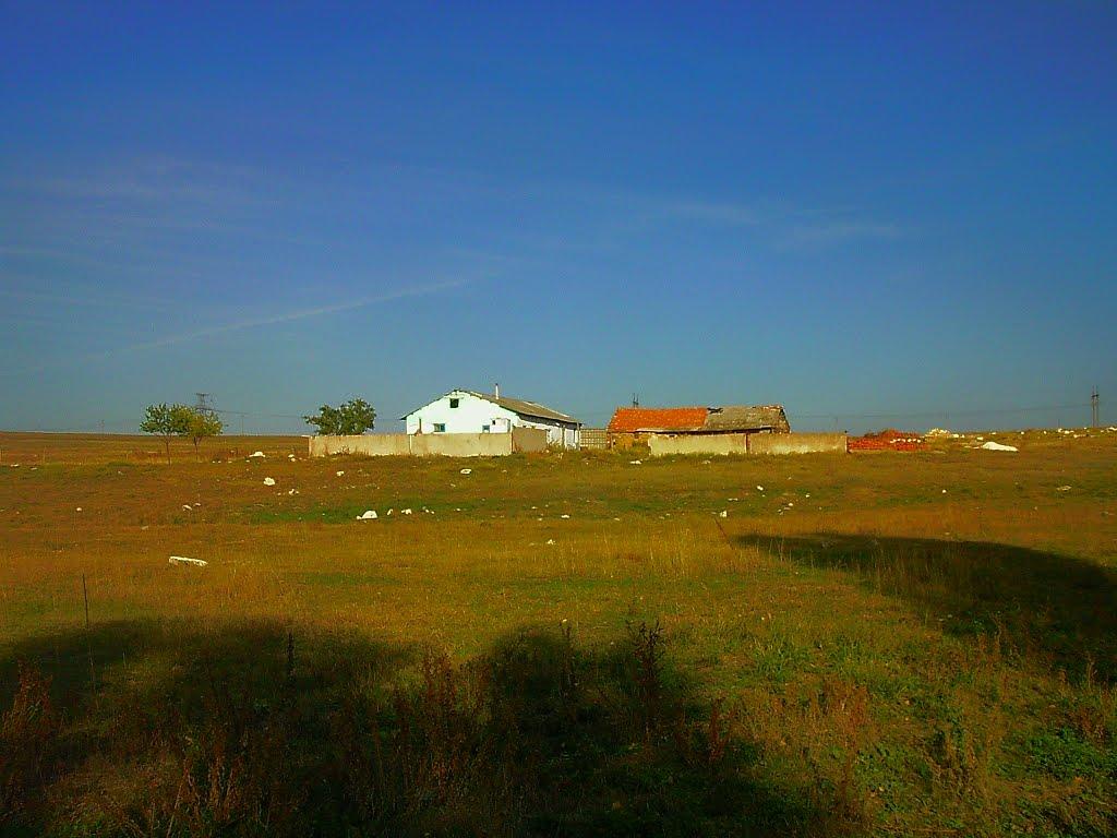 Трудове з panoramio.com - Trudove