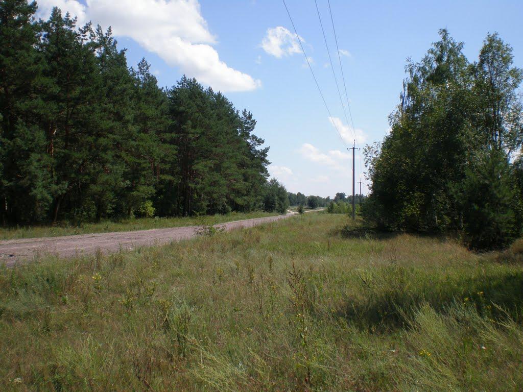 Чаплищі з panoramio.com - Чаплищі