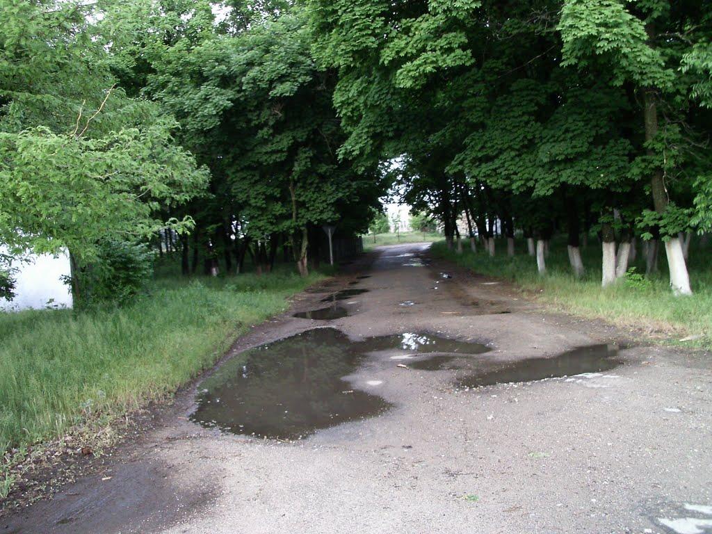 Вознесенськ з panoramio.com - Вознесенськ