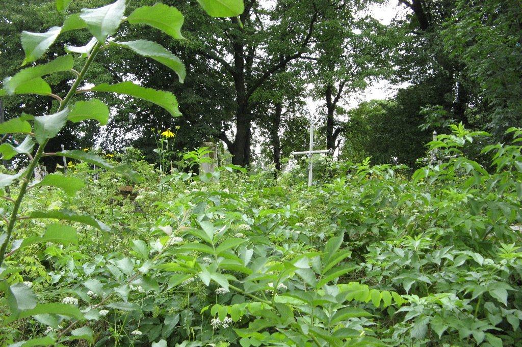 Рихтичі з panoramio.com - Рихтичі