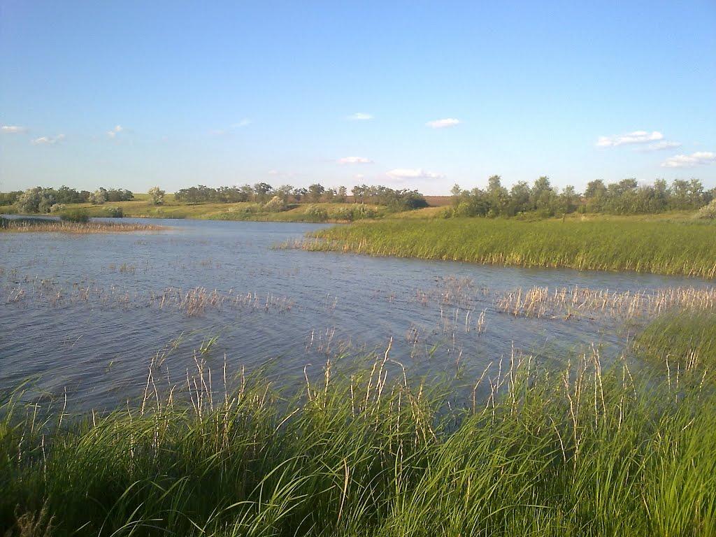 Переможне з panoramio.com - Переможне