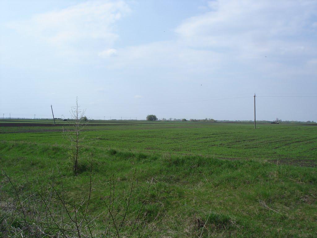 Червона Зірка з panoramio.com - Червона Зірка