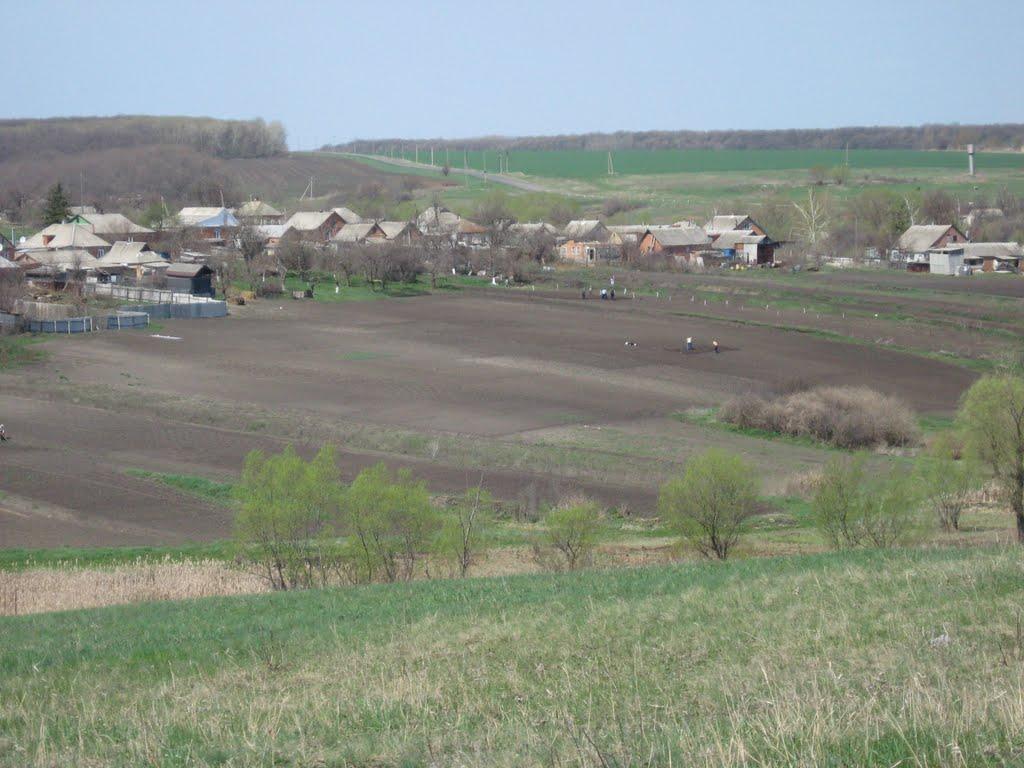 Великий Бурлук з panoramio.com - Великий Бурлук