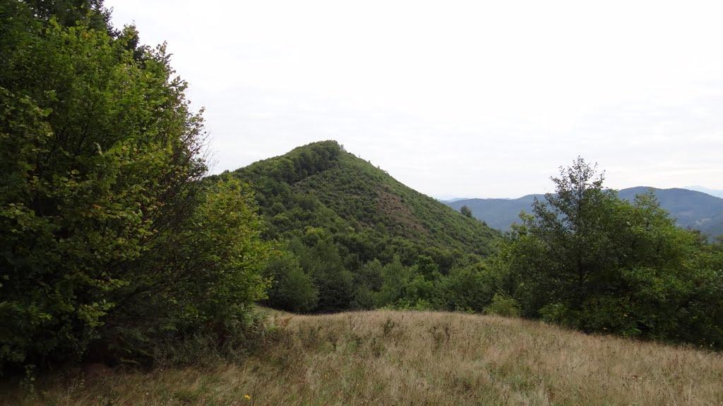 Великий Бичків з panoramio.com - Великий Бичків