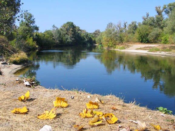 Букине з panoramio.com - Букине