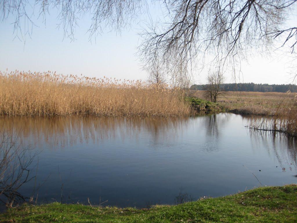 Михнівка з panoramio.com - Михновка