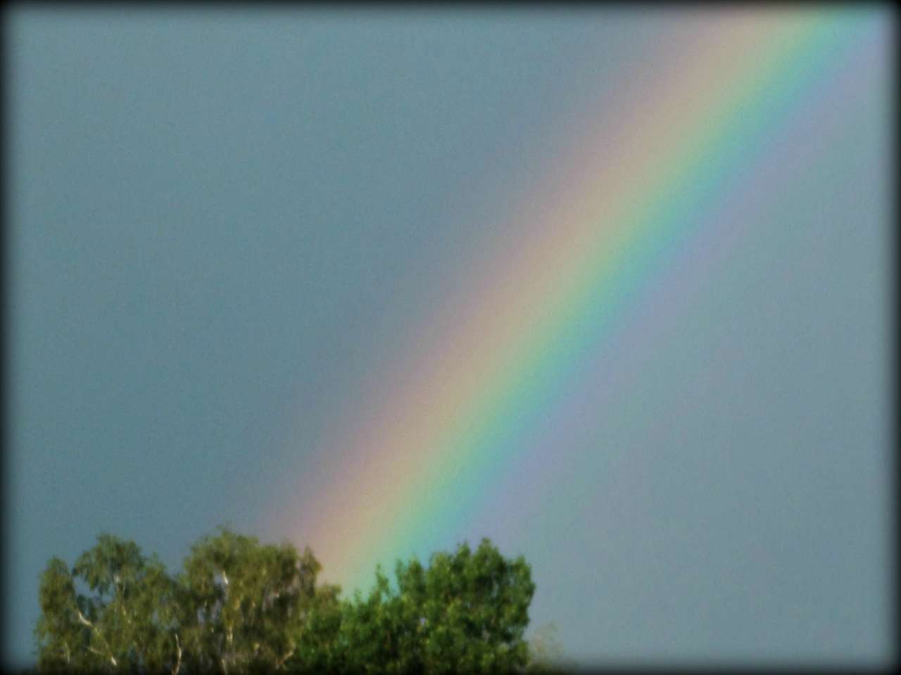 Наша Сидоровщина - Сидоровичі