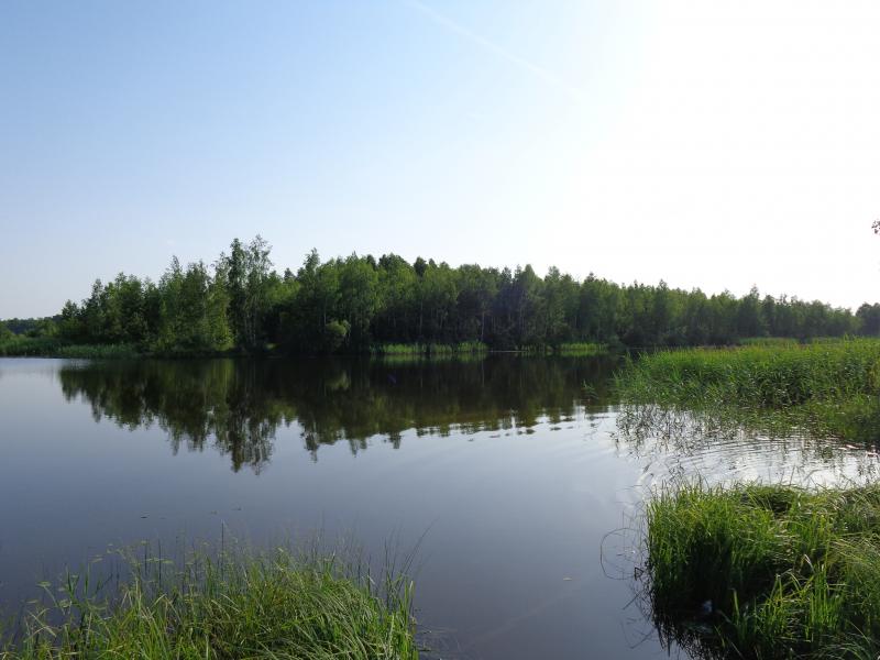 Село - Веселівка