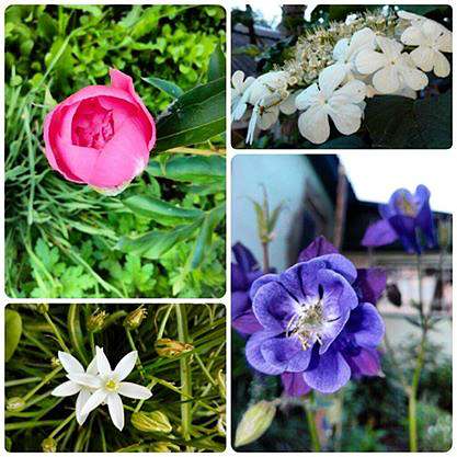 Мої Потаповичі - Потаповичи