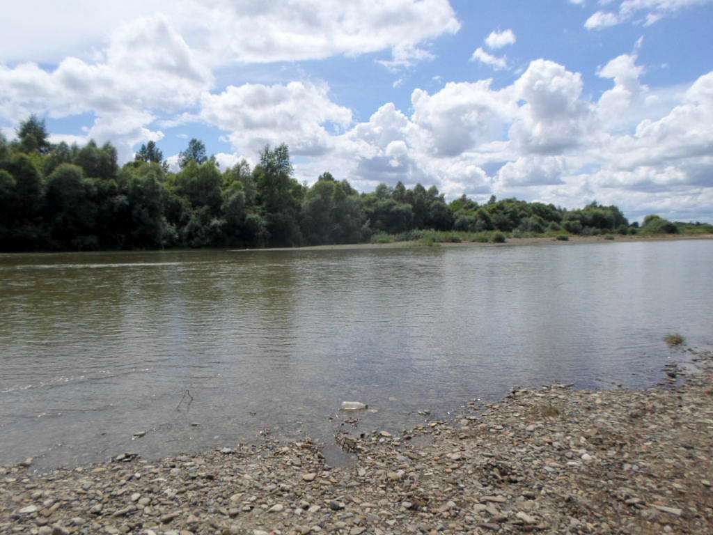 Річка Стрий - Кути