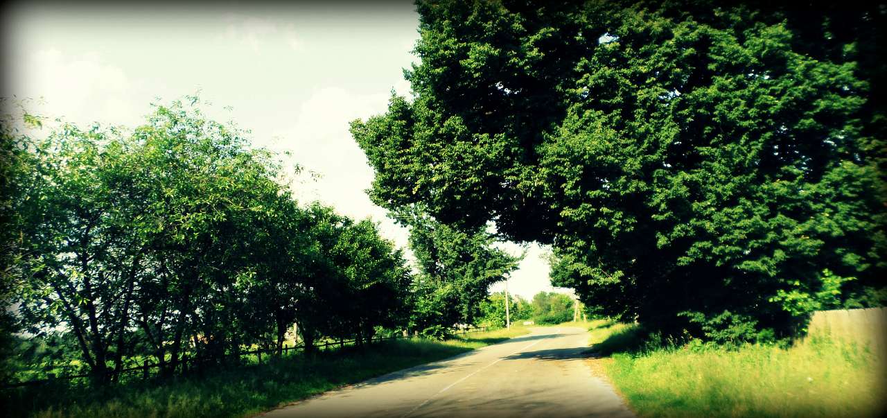 Наша Сидоровщина - Сидоровичі