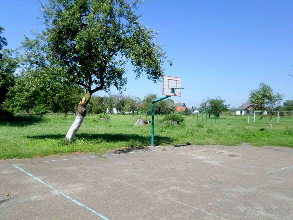 школа - Derzhiv