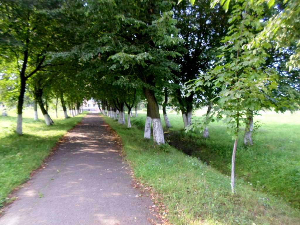 школа - Derzhiv