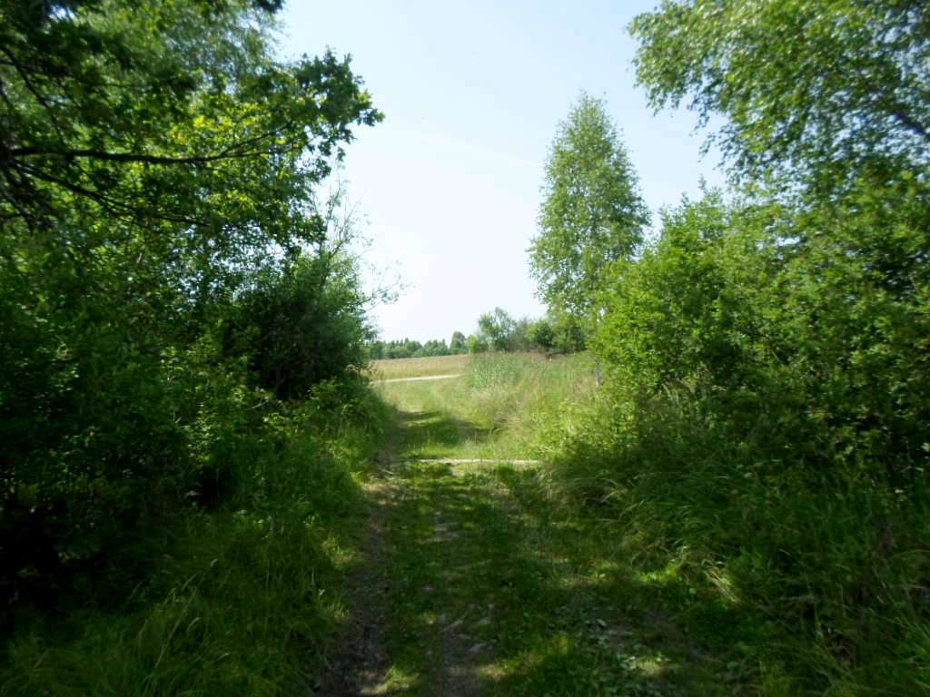 краєвид - Smolyanyy