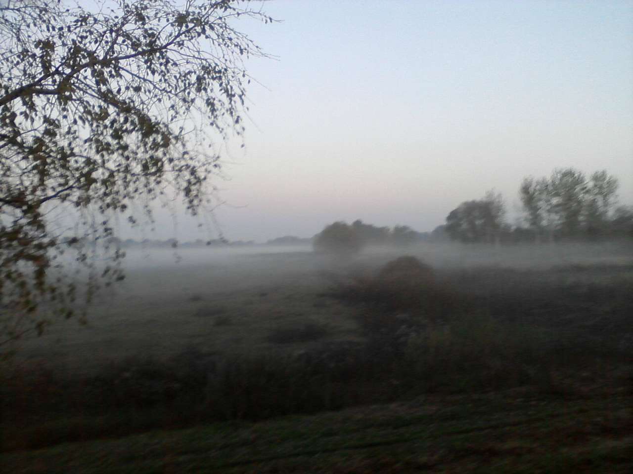 Краєвиди та життя Нової Басані - Нова Басань