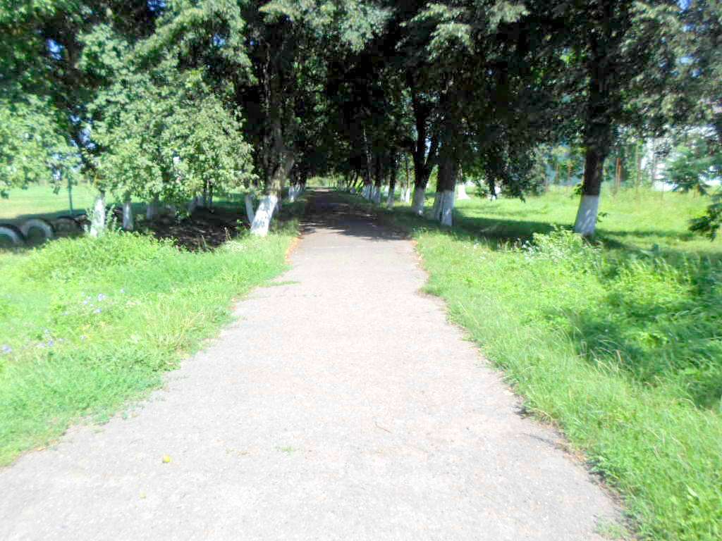 школа - Derzhiv