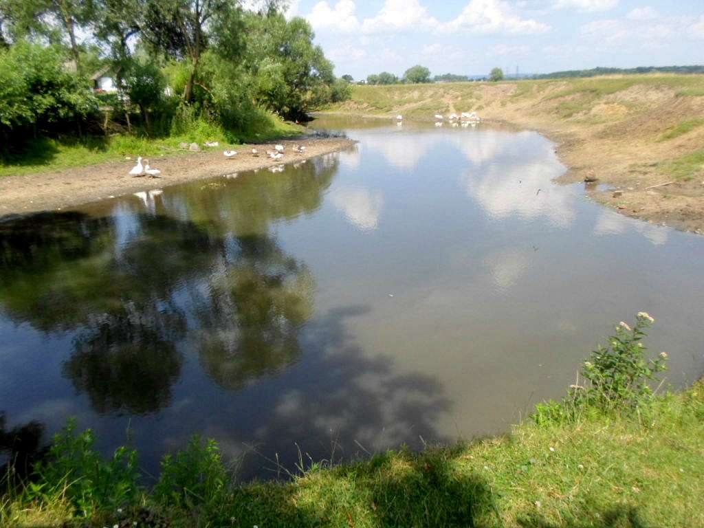 річка Вівнянка - Держев