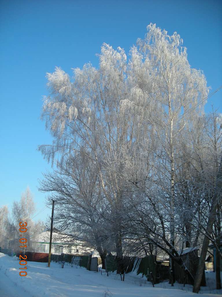 Краєвиди та життя Нової Басані - Нова Басань