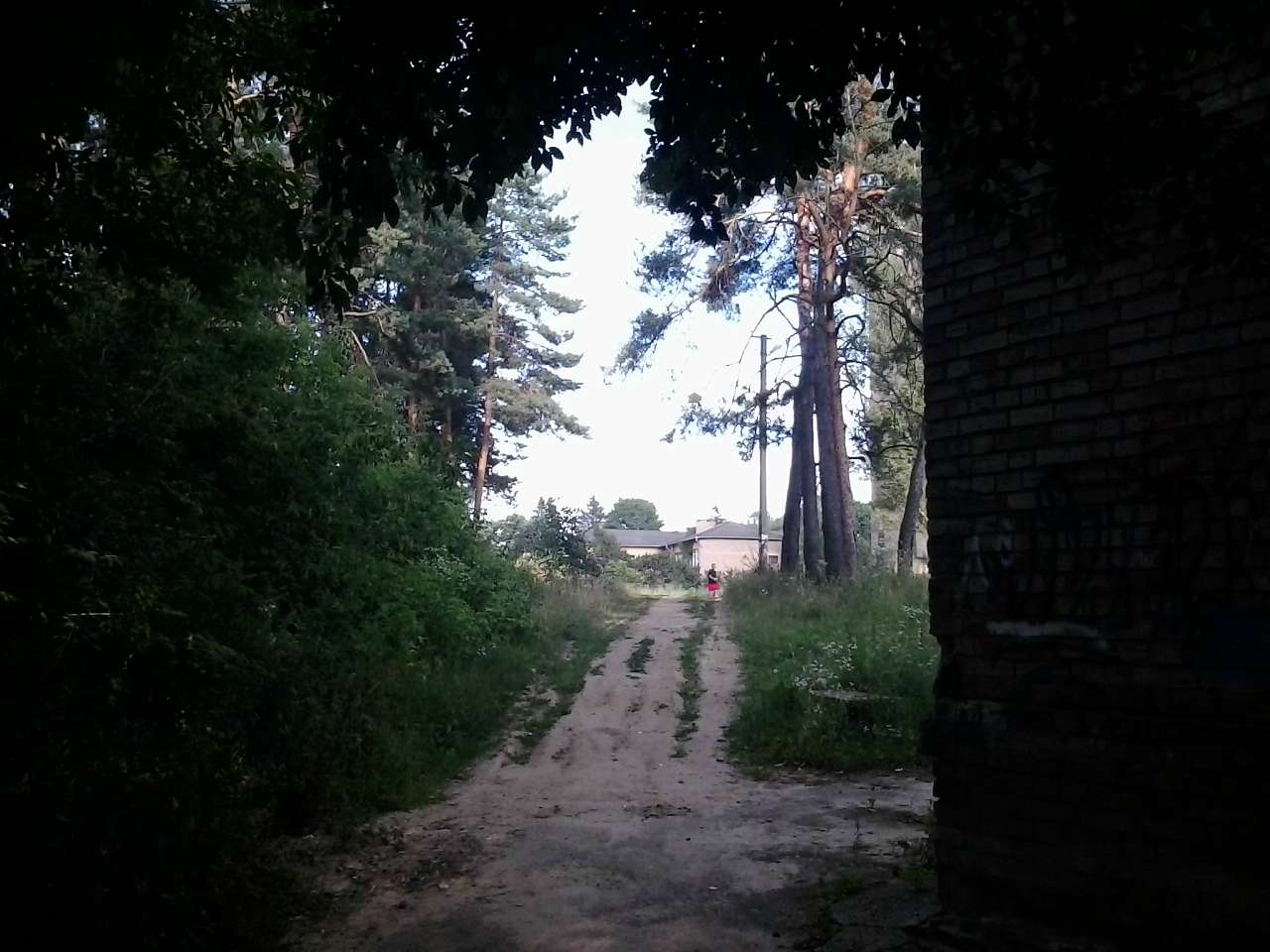 Тарасівка - Тарасівка