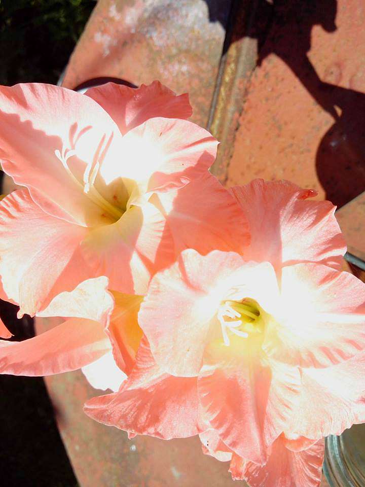 Мої Потаповичі - Потаповичи