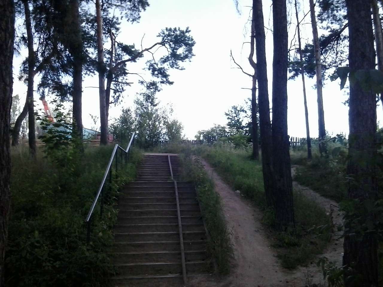 Тарасівка - Тарасівка