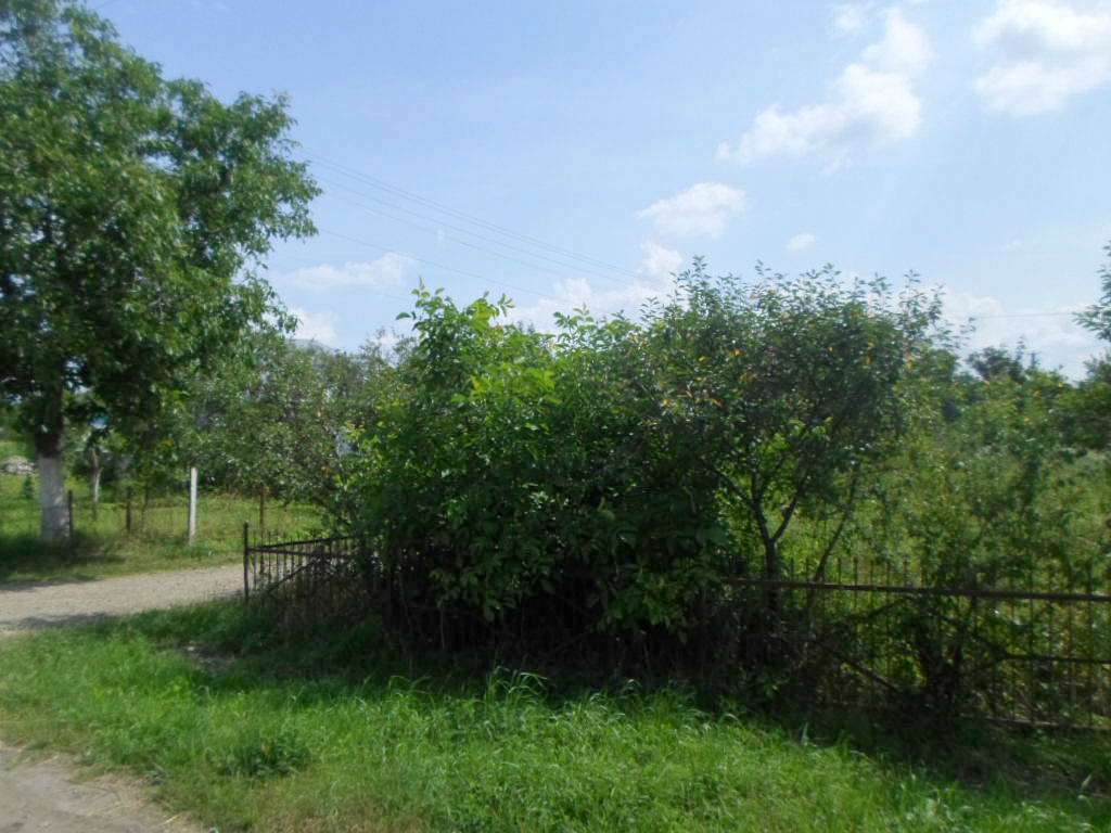 Краєвид - Березина