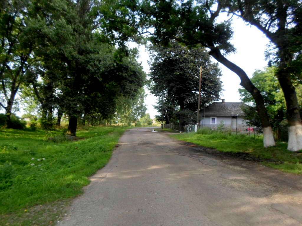 краєвид - Добрівляни