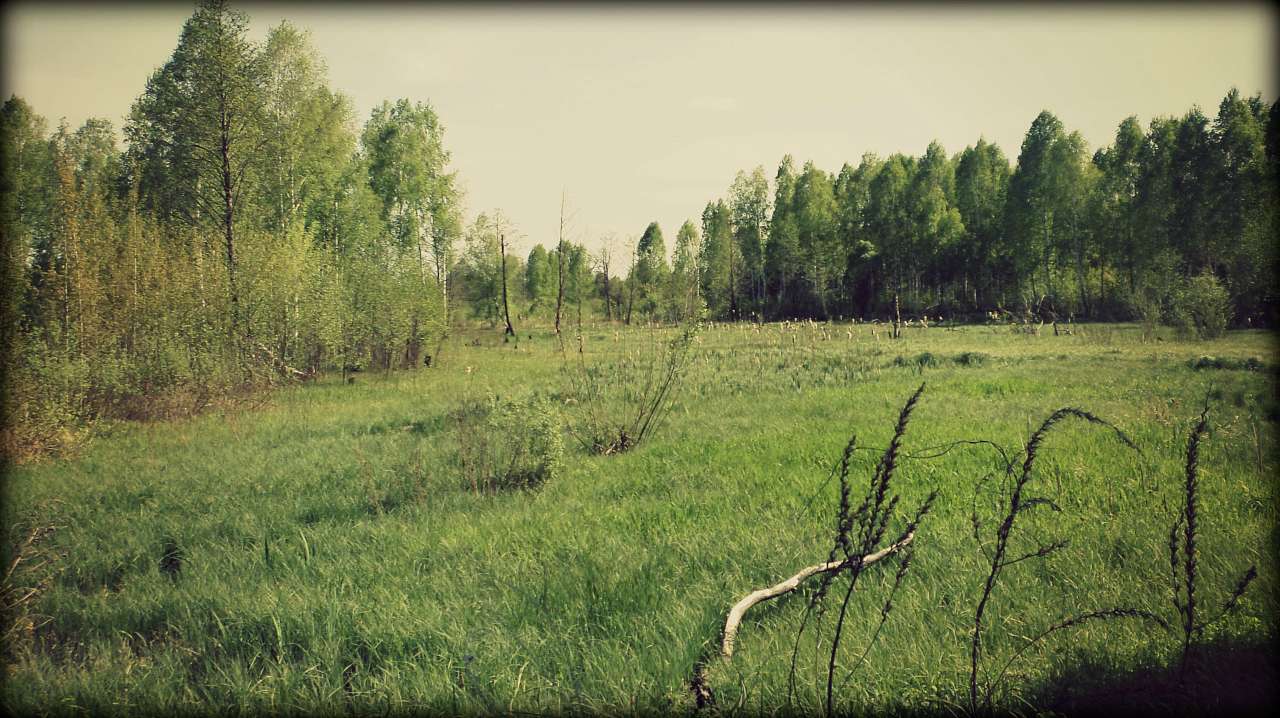Наша Сидоровщина - Сидоровичи