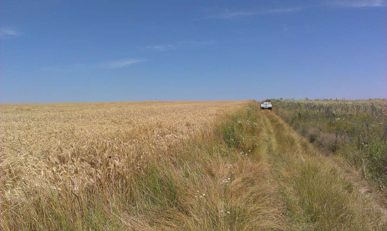 Природа - Стара Ушиця