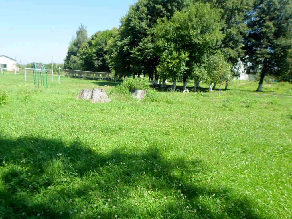школа - Derzhiv