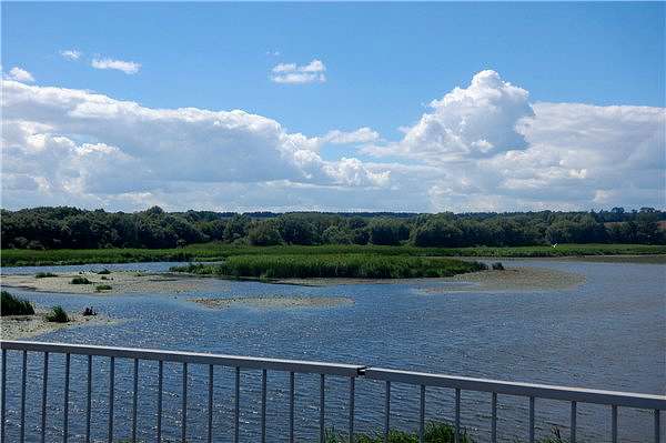 ВелоВинница (vinalex) - Рижавка