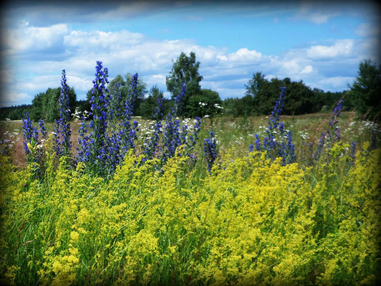 Наша Сидоровщина - Сидоровичі