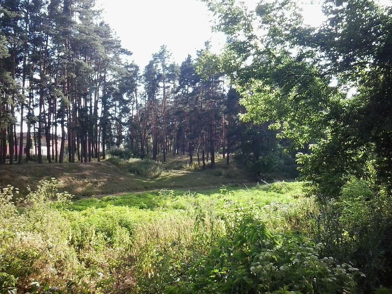 Тарасівка - Тарасівка