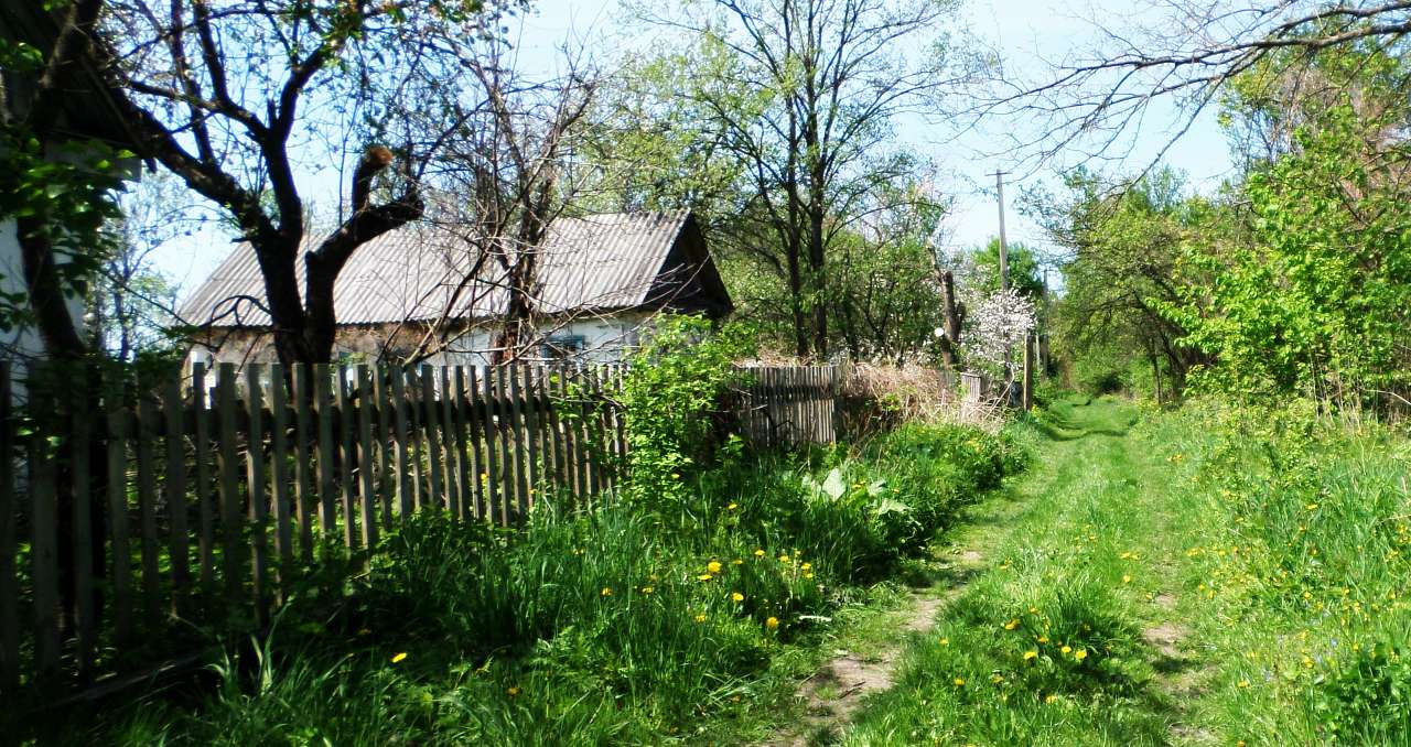Наша Сидоровщина - Сидоровичи